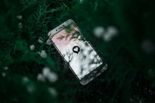 Phone on plants with heart symbol on screen