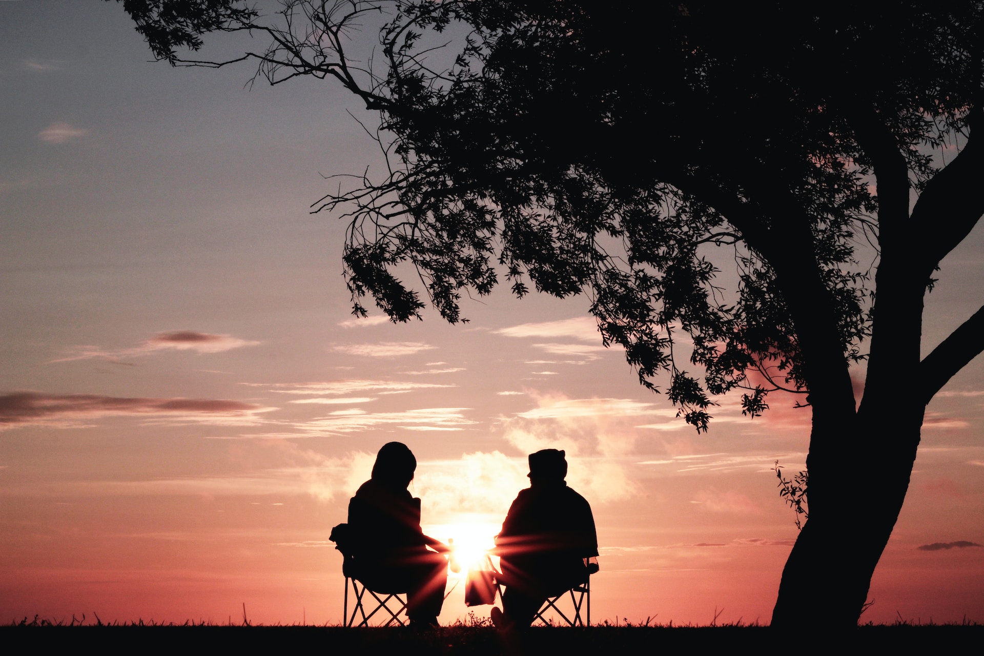 Couple watching sunset under a tree