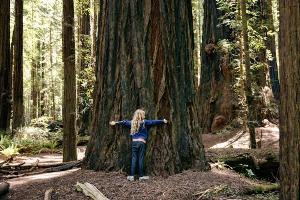 Little girl hugging a big old tree