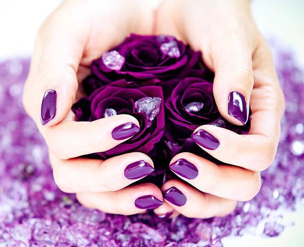purple roses in hand